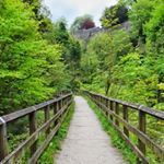 Profile Picture of James Brooks (@james_brooks194) on Instagram