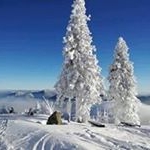 Profile Picture of Juan Tercero (@juanterceroramirez) on Instagram