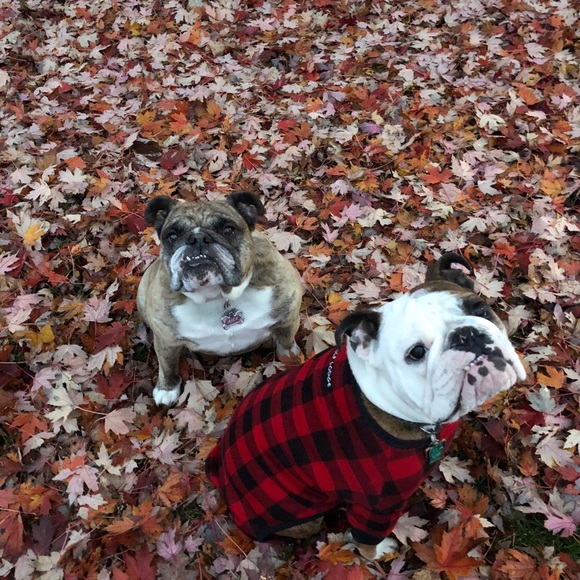 Profile Picture of Kasandra Lemek (@sassyfrog300) on Poshmark