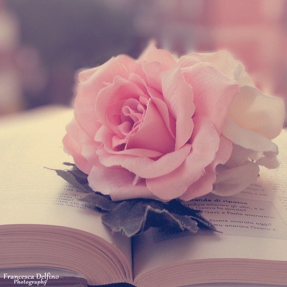 Profile Picture of Meryem El (@meryemek) on Poshmark