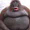 Profile Picture of Sam Feigenbaum (@sam.feigenbaum.96) on Facebook