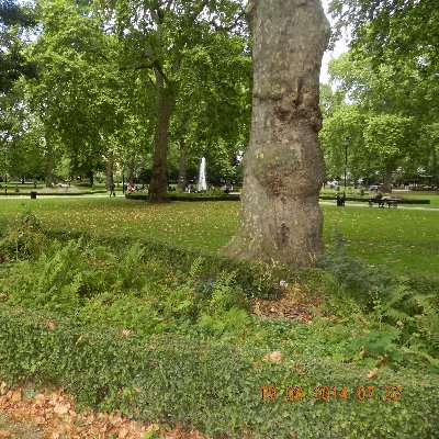 Profile Picture of Julio Tavares (@@tavjulio) on Twitter