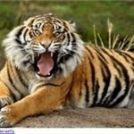 Profile Picture of John Hrdlicka (@zydarcaguang) on Instagram