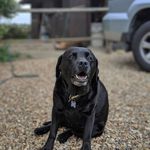 Profile Picture of matt avery (@mattavery25) on Instagram