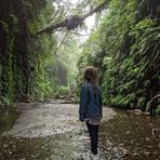 Profile Picture of Shelly Cecil (@shelly.cecil.5) on Facebook