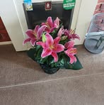 Profile Picture of Rex Gibson (@rex.gibson.587) on Facebook