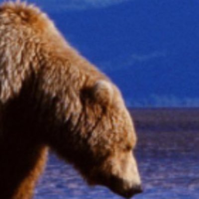 Ben Pate - Twitter Profile Picture of Ben Pate (@Benpate3) on Twitter