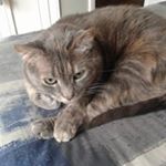 Profile Picture of Peter Dumais (@peterdumais) on Instagram