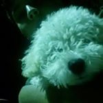 Profile Picture of Robert (@robertmiramontes) on Instagram