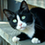 Profile Picture of Coalheat (@coalheat) on Flickr