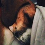 Profile Picture of cassie cunningham (@cassie72219) on Instagram