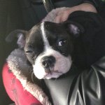 Profile Picture of Charlie Slominksy (@charlie_slominsky) on Instagram