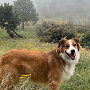 Profile Picture of Joseph Bradbury (@josephbradbury8780) on Youtube