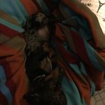 Profile Picture of Ethan Flanders (@ykethan_flanders) on Instagram