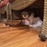 Profile Picture of Michael Kaczmarczyk (@michael.kaczmarczyk) on Instagram