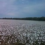 Profile Picture of Bryan C McEntire (@mcentirebryan) on Instagram