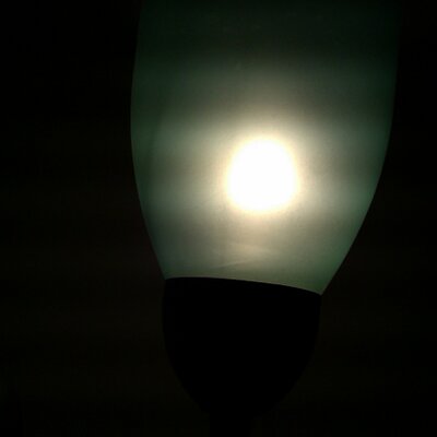 Profile Picture of Dan Trantham (@DJayTrantham) on Twitter