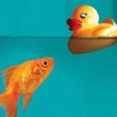 Profile Picture of Jason Morehouse (@JasonMorehouse1) on Twitter