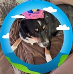 Profile Picture of Bruce Carlton (@Bruce-Carlton) on Facebook
