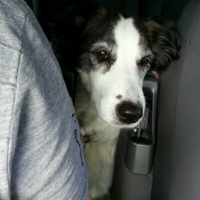 Profile Picture of Robin Hayter (@robindj121) on Twitter