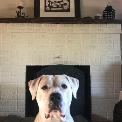 Profile Picture of Jami Nelson Nunez (@jnelsonnunez) on Twitter