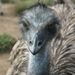 Profile Picture of Jim Tillery (@jimtillery92) on Pinterest