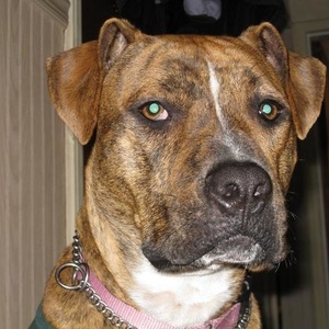 Profile Picture of Jamez Karastamatis (@hurleyxxxhurley113) on Myspace