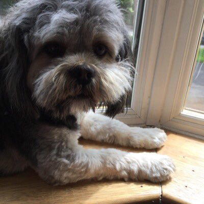 Profile Picture of Alice Mckenna (@alicemckenna_6) on Twitter