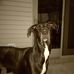 Profile Picture of Brad Fields (@brad.fields.50) on Facebook