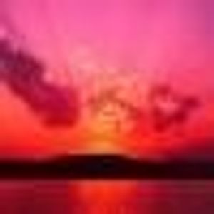 Profile Picture of Shelly Kumar (@194970600) on Myspace