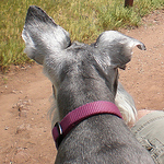 Profile Picture of Zach (@sagebrushgis) on Flickr