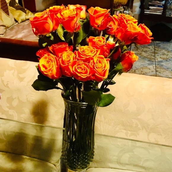 Profile Picture of Alina Feijoo (@almaria288) on Poshmark