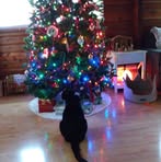 Profile Picture of Marion Mensing (@Marion-Mensing) on Facebook