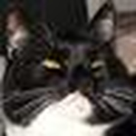 Profile Picture of Andy And Michele (@andy and michele rau) on Flickr