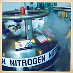 Profile Picture of Charles Reid (@cmrhipstamatic) on Flickr