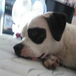 Profile Picture of Destiny walsh (@destinymareehopewalsh) on Instagram