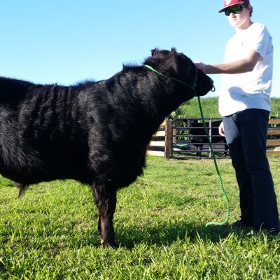 Profile Picture of Brett Collier (@BCollier980) on Twitter