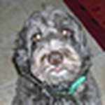 Profile Picture of Nancy Schlemmer (@nancy schlemmer) on Flickr