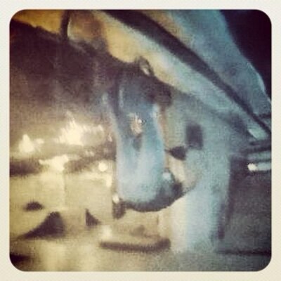 Profile Picture of Sam Lemaster (@LemasterSam98) on Twitter