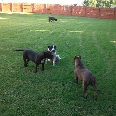 Profile Picture of Joyce Jefferson (@Jaylow53) on Twitter