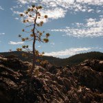 Profile Picture of Devon Treadwell (@devon_treadwell) on Instagram