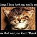 Profile Picture of Mary Leonard (@walloongranny) on Pinterest