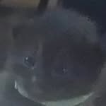 Profile Picture of Wendy Layton (@layton.wendy) on Instagram