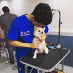 Profile Picture of Irvin Gonzalez (@irvin_glz00) on Instagram