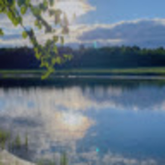 Bereket Cunnison - Poshmark Profile Picture of Bereket Cunnison (@bereketc) on Poshmark