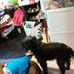 Profile Picture of April Bowen (@april.bowen.71697) on Facebook