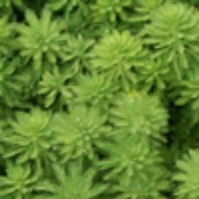 Profile Picture of Clara González (@claragonzalez1) on Twitter