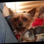 Profile Picture of Loretta Moore (@lorettamoorey702) on Instagram