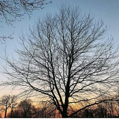 Profile Picture of Jonalyn Martin  〽 (@JonalynMartin7) on Twitter