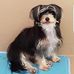 Profile Picture of Jodie Bodden (@Jodie-Bodden) on Facebook